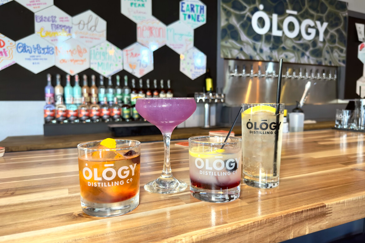 ONE-YEAR ANNIVERSARY PARTY AT OLOGY BREWING CO.